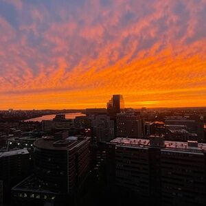 Meet your Posher, Kelli